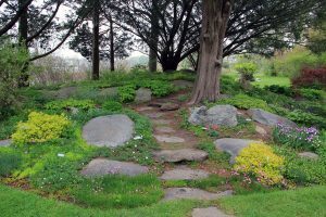 Rock Garden, Flowers